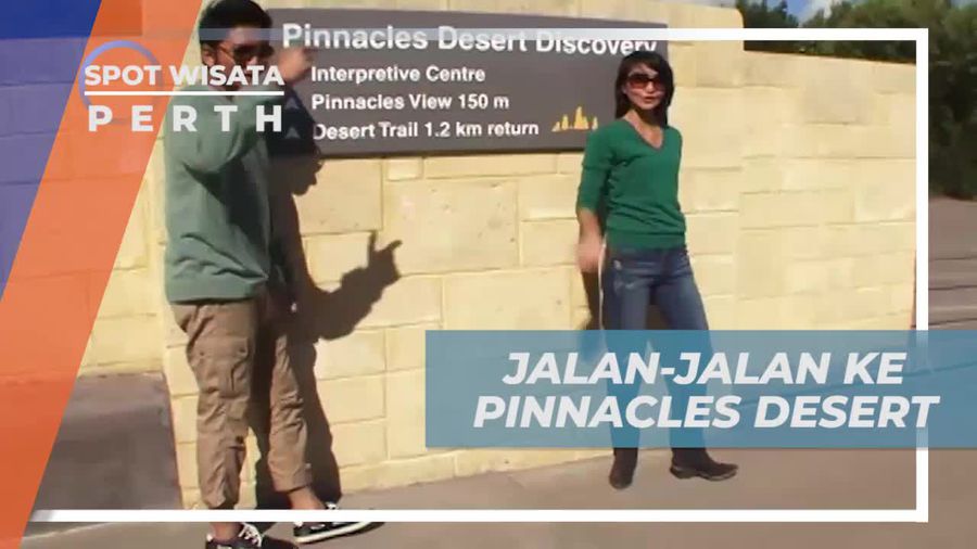 Menempuh 4 Jam Perjalanan Menuju Pinnacles Desert Australia