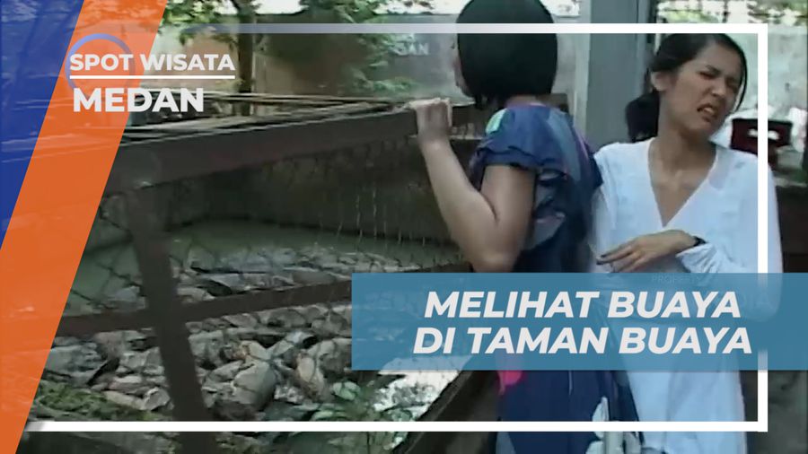 Mengisi Liburan, Mengunjungi Tempat Penangkaran Buaya di Kota Medan