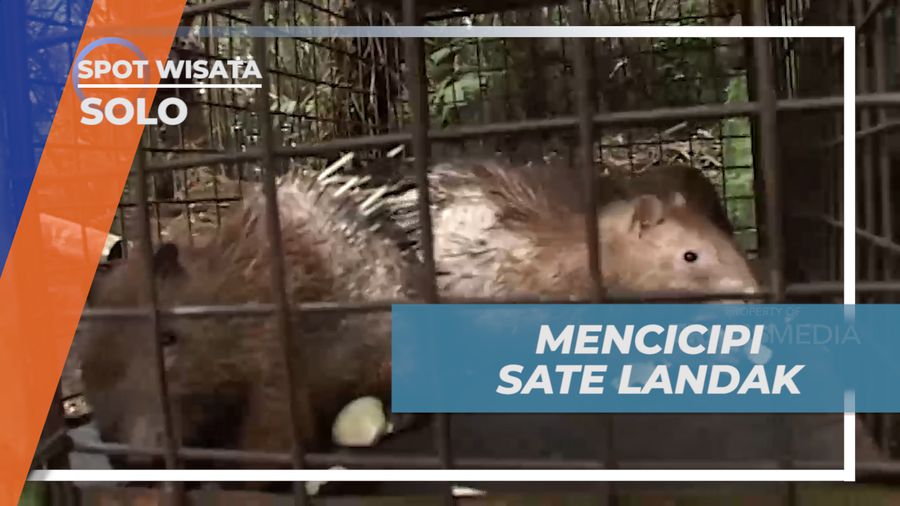 Mencicipi Cita Rasa Khas Kuliner Sate Landak, Solo