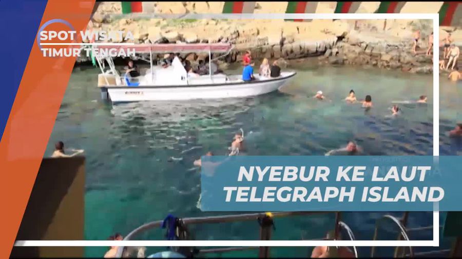 Menikmati Sensasi Dingin Berenang di Telegraph Island Timur Tengah