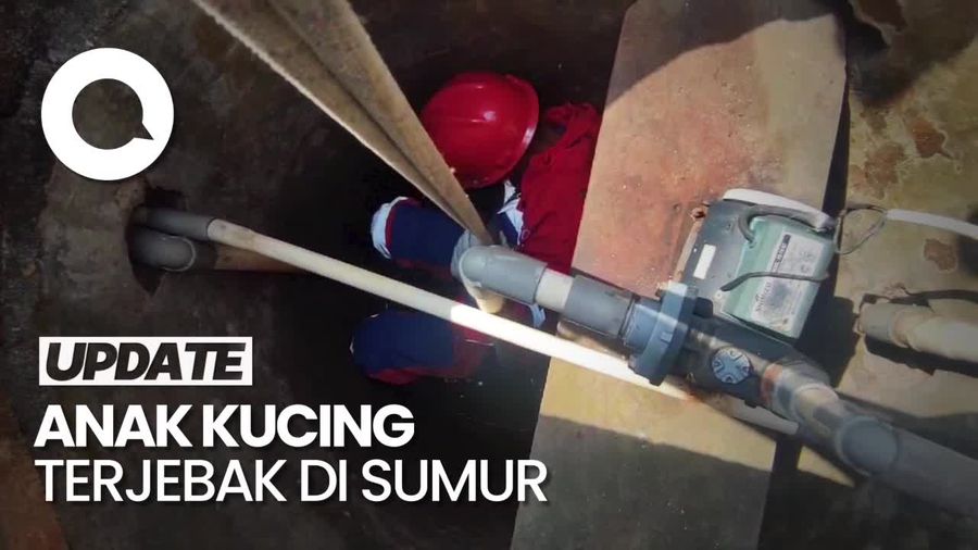 Momen Petugas Damkar Jambi Evakuasi Anak Kucing di Dalam Sumur