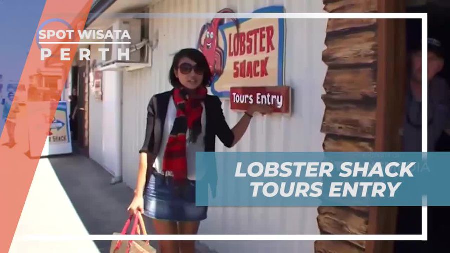 Melihat Pengolahan Lobster di Shack Entry Tour Perth Australia