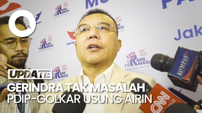 Gerindra soal PDIP-Golkar Usung Airin di Pilgub Banten: Tak Ada Masalah