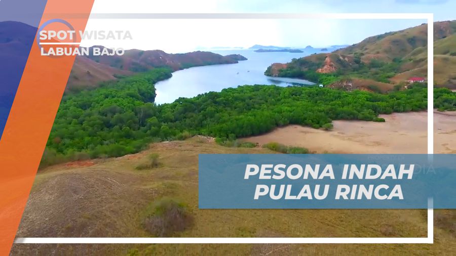 Menikmati Keindahan Pulau Rinca yang Menjadi Habitat Komodo, Labuan Bajo