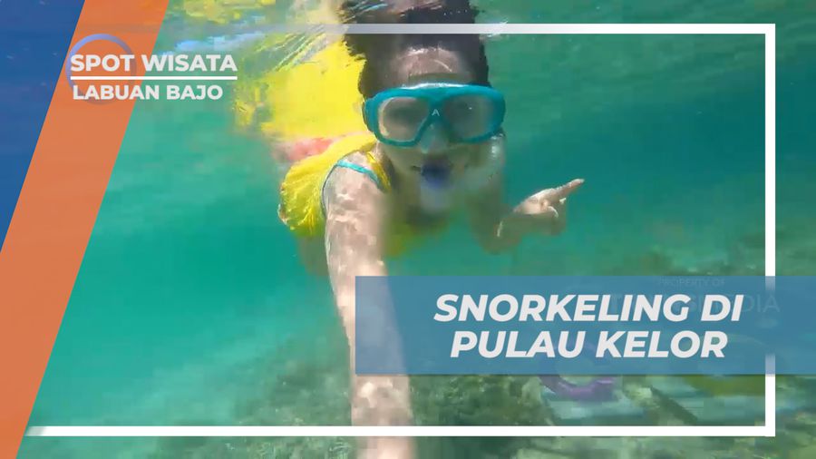 Saatnya Snorkeling Menikmati Keindahan Bawah Laut Pulau Kelor Labuan Bajo