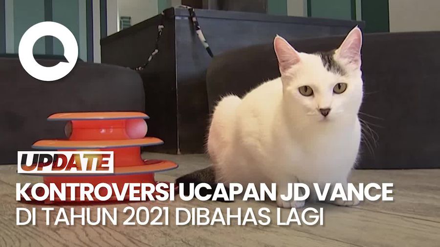 Ucapan JD Vance Childless Cat Ladies Tuai Kritikan Para Pencinta Kucing