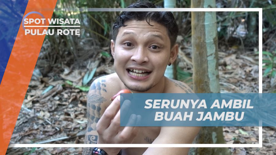 Berburu Buah Jambu Menggunakan Ketapel Ala Anak-anak Rote, Nusa Tenggara Timur