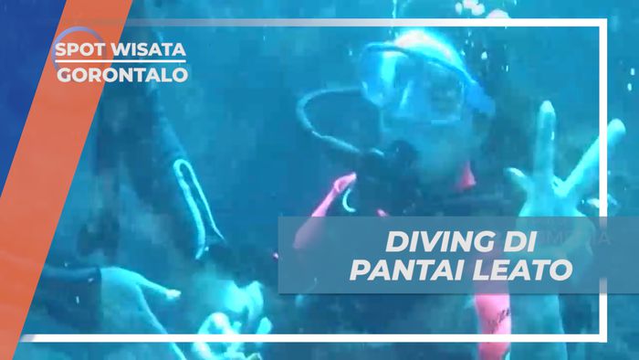 Mengeksplor Pesona Keindahan Bawah Laut Pantai Leato, Gorontalo