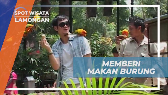 Menikmati Keseruan Memberi Makan Burung di Kandang Raksasa, Lamongan