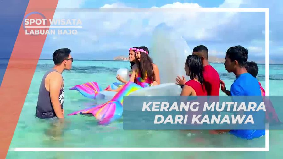 Melihat Keindahan Kerang Mutiara di Pulau Kanawa Labuan Bajo