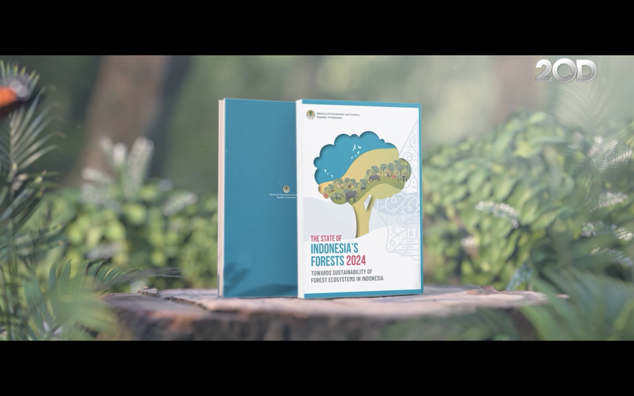 Perjalanan Menuju Pengelolaan Hutan Indonensia Yang Berkelanjutan