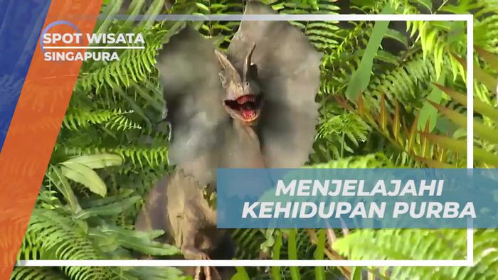 Menjelajahi Kehidupan Purba Dengan Wahana Jurasic Park Rapid Adventure, Singapura