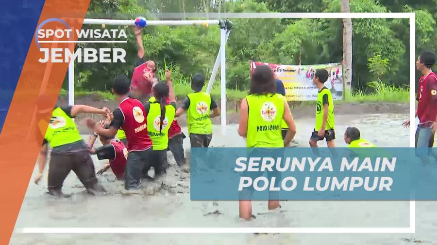 Adu Tangkas Bermain Polo Lumpur di Ledokombo Jember