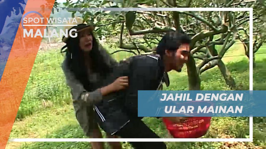 Aksi Jahil Celebriti Saat Mencari Buah Apel, Malang