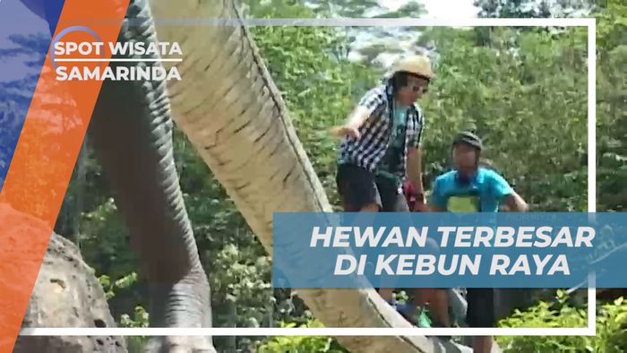 Melihat Binatang Terbesar di Kebun Raya Unmul, Samarinda