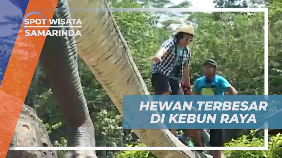 Melihat Binatang Terbesar di Kebun Raya Unmul, Samarinda