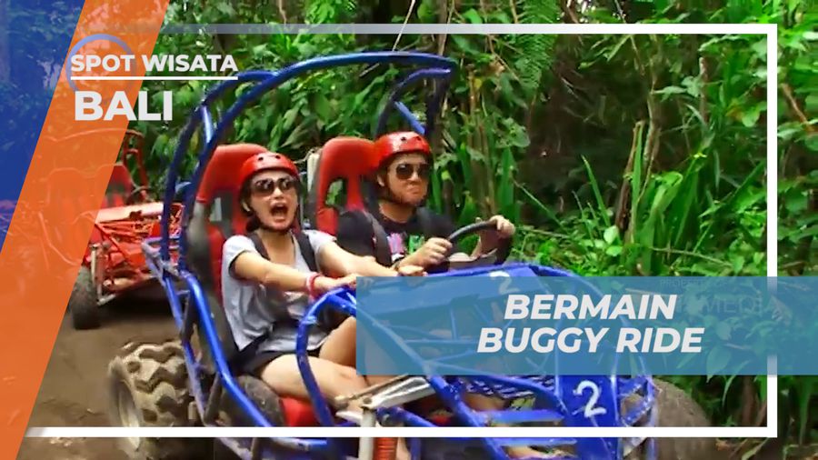 Menikmati Keseruan Menyusuri Perkebunan Bermain Buggy Ride, Bali