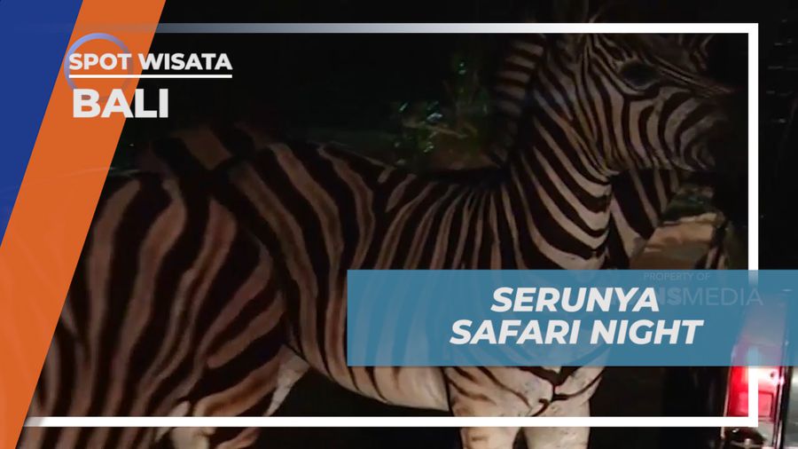 Menikmati Sensasi Seru Menjelajahi Taman Satwa Malam Hari, Bali