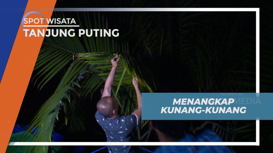 Menikmati Keseruan Menangkap Kunang-kunang di Tepi Sungai, Kalimantan Tengah