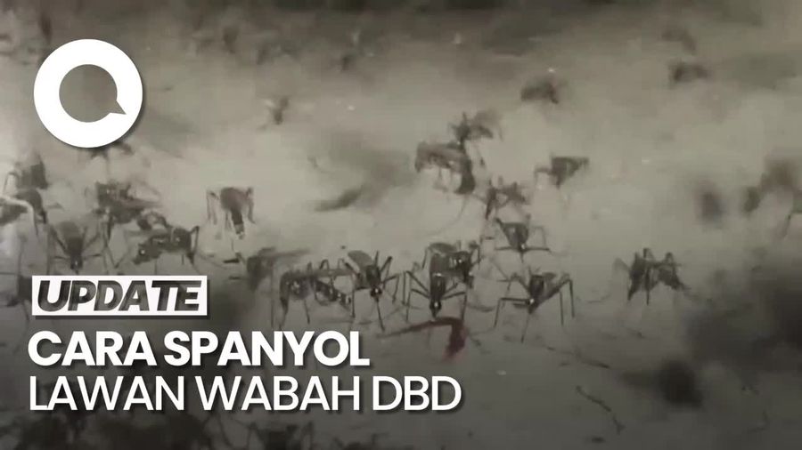 Jurus Spanyol Perangi DBD Lewat Sterilisasi Ribuan Nyamuk Jantan
