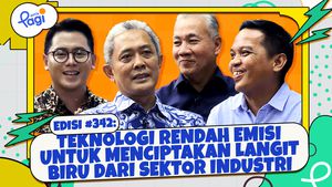 Teknologi Rendah Emisi untuk Menciptakan Langit Biru dari Sektor Industri
