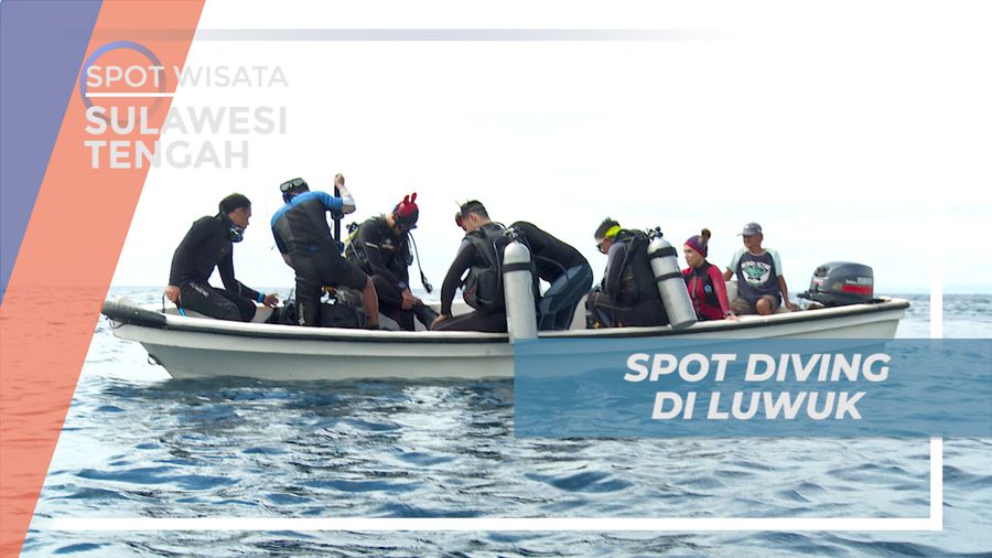 Persiapan Sebelum Menyelami Keindahan Bawah Laut Luwuk, Sulawesi Tengah