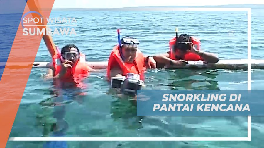 Mengintip Pesona Keindahan Biota Laut di Pantai Kencana, Sumbawa