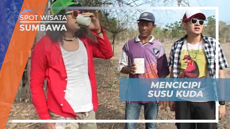 Mencoba Citarasa Susu Kuda Lokal Khas Desa Penyaring, Sumbawa
