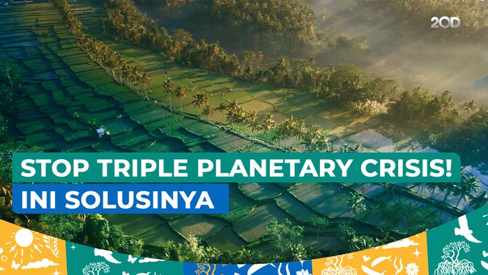 Dua Cara Ini Jitu Hadapi Triple Planetary Crisis