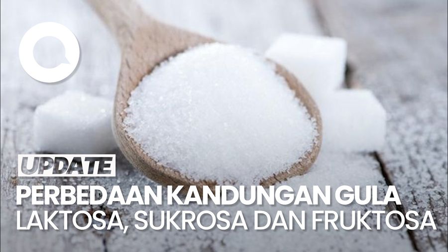 Ini Perbedaan Gula Laktosa, Sukrosa dan Fruktosa