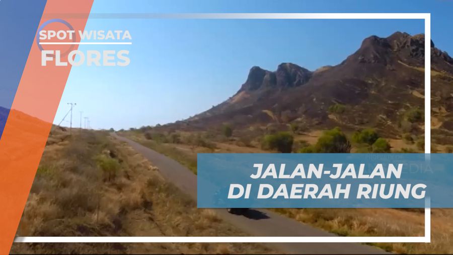 Menikmati Indahnya Pesona Padang Savana di Kawasan Riung, Flores