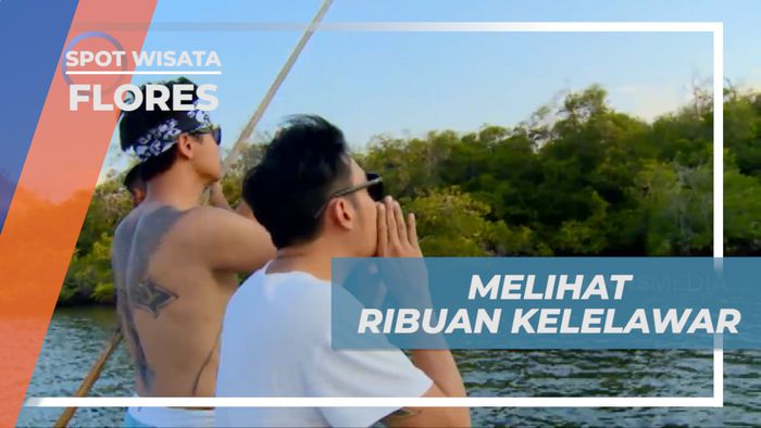 Pengalaman Seru, Melihat Ribuan Kelelawar Penghuni Pulau Kalong, Flores