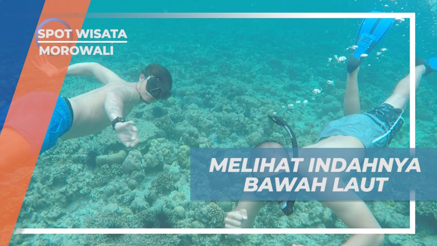 Menikmati Pesona Keindahan Bawah Laut Pulau Dua Laut, Morowali