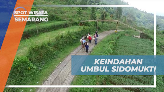 Vacation Seru, Mengeksplor Keindahan Alam Umbul Sidomukti, Semarang