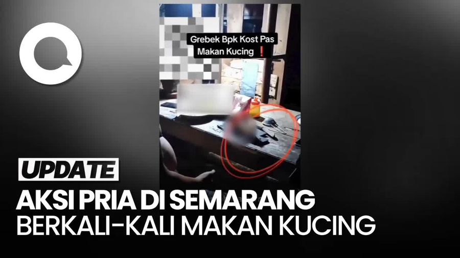 Heboh Pria di Semarang Kepergok Makan Kucing, Sebut untuk Obat Diabetes