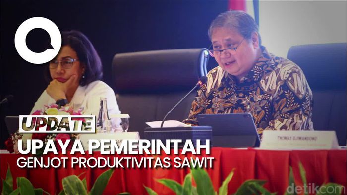 Airlangga: Dana PSR Bagi Pekebun Sawit Bakal Dinaikkan Jadi Rp 60 Juta