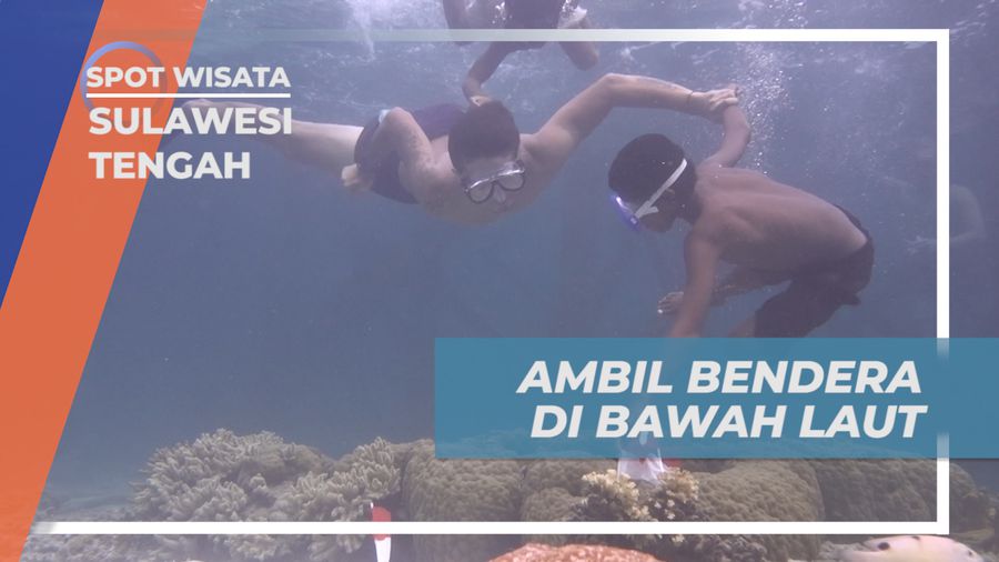 Serunya Adu Cepat Menyelam ke Dasar Laut Mencari Bendera, Sulawesi Tengah