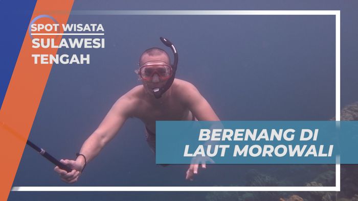 Menjelajahi Pesona Keindahan Bawah Laut Morowali, Sulawesi Tengah