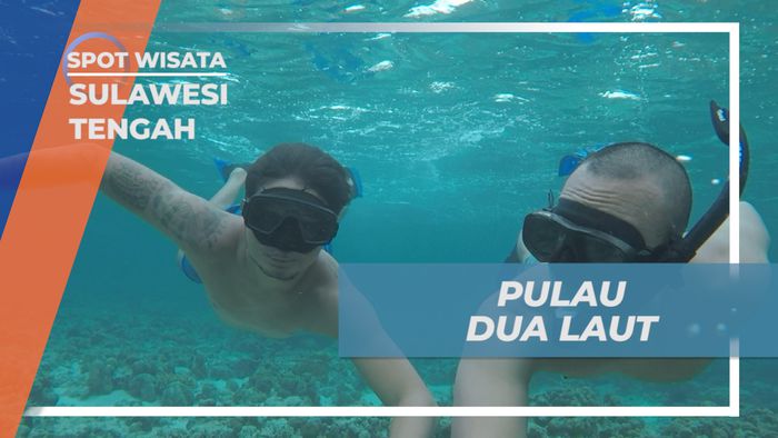 Menikmati Menjelajahi Bawah Laut Pulau Dua Laut yang Mempesona, Sulawesi Tengah