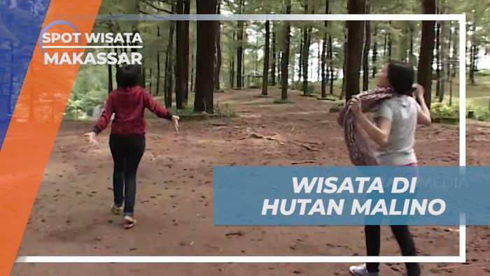 Liburan Seru, Menikmati Suasana Sejuk Hutan Malino, Makassar