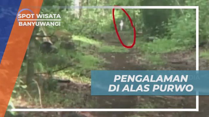 Pengalaman Menengangkan di Alas Purwo Banyuwangi