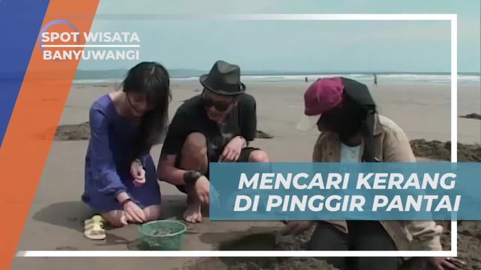 Momen Asik Mencari Kerang di Tepi Pantai Ngagelan Banyuwangi