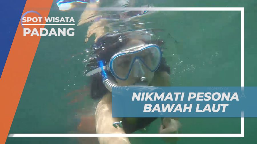 Menikmati Pesona Kehidupan Biota Laut Pulau Cubadak yang Menawan, Padang