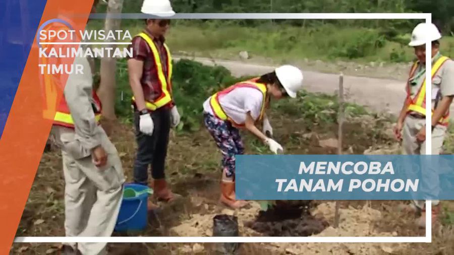 Ikut Serta Menanam Pohon di Lahan Reklamasi Kalimantan Timur 