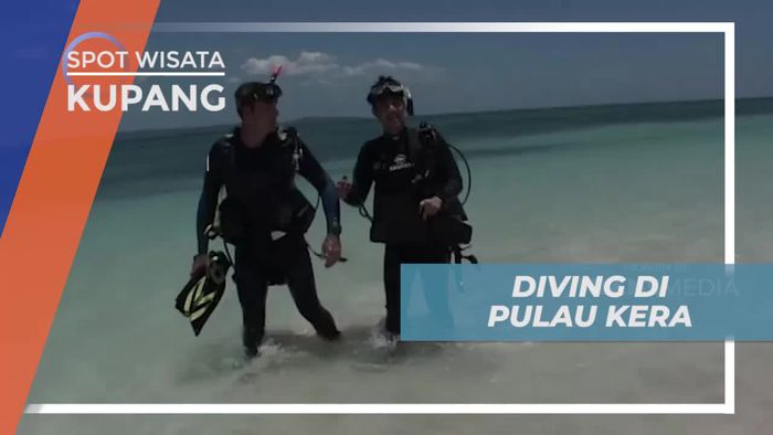 Diving Menyusuri Keindahan Bawah Laut Pulau Kera Kupang