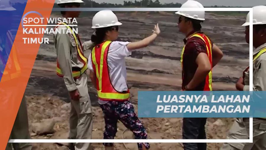 Melihat Dari Dekat Luasnya Area Tambang Batu Bara di Kalimantan Timur 