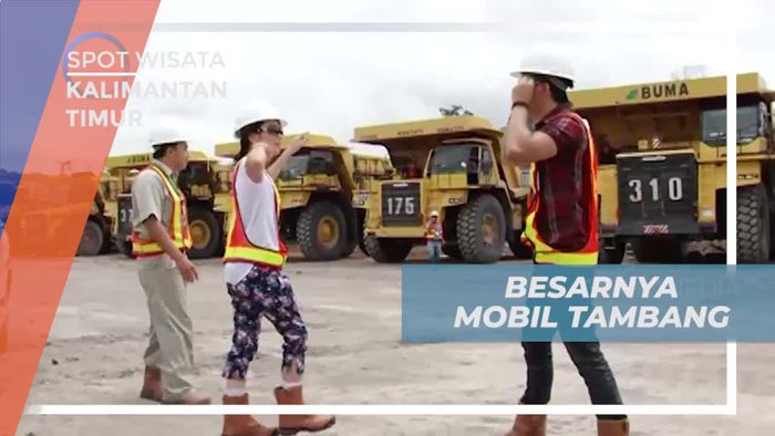 Melihat Besarnya Kendaraan Pengangkut Hasil Tambang di Kalimantan Timur 