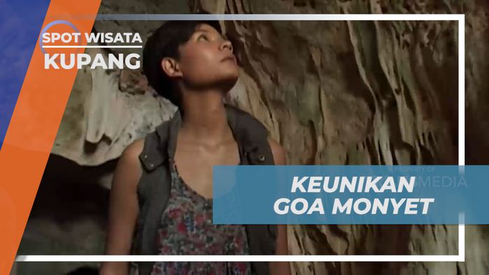 Mengisi Liburan Mengunjungi Goa Rumah Bagi Para Monyet di Kupang