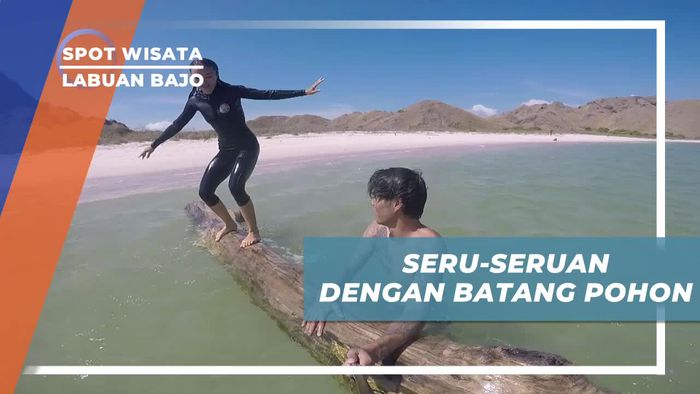 Seru-seruan Bermain Dengan Batang Pohon di Pink Beach Labuan Bajo