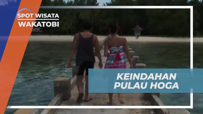 Pulau Hoga, Salah Satu Destinasi Indah di Wakatobi